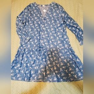 Womens Denim Dress